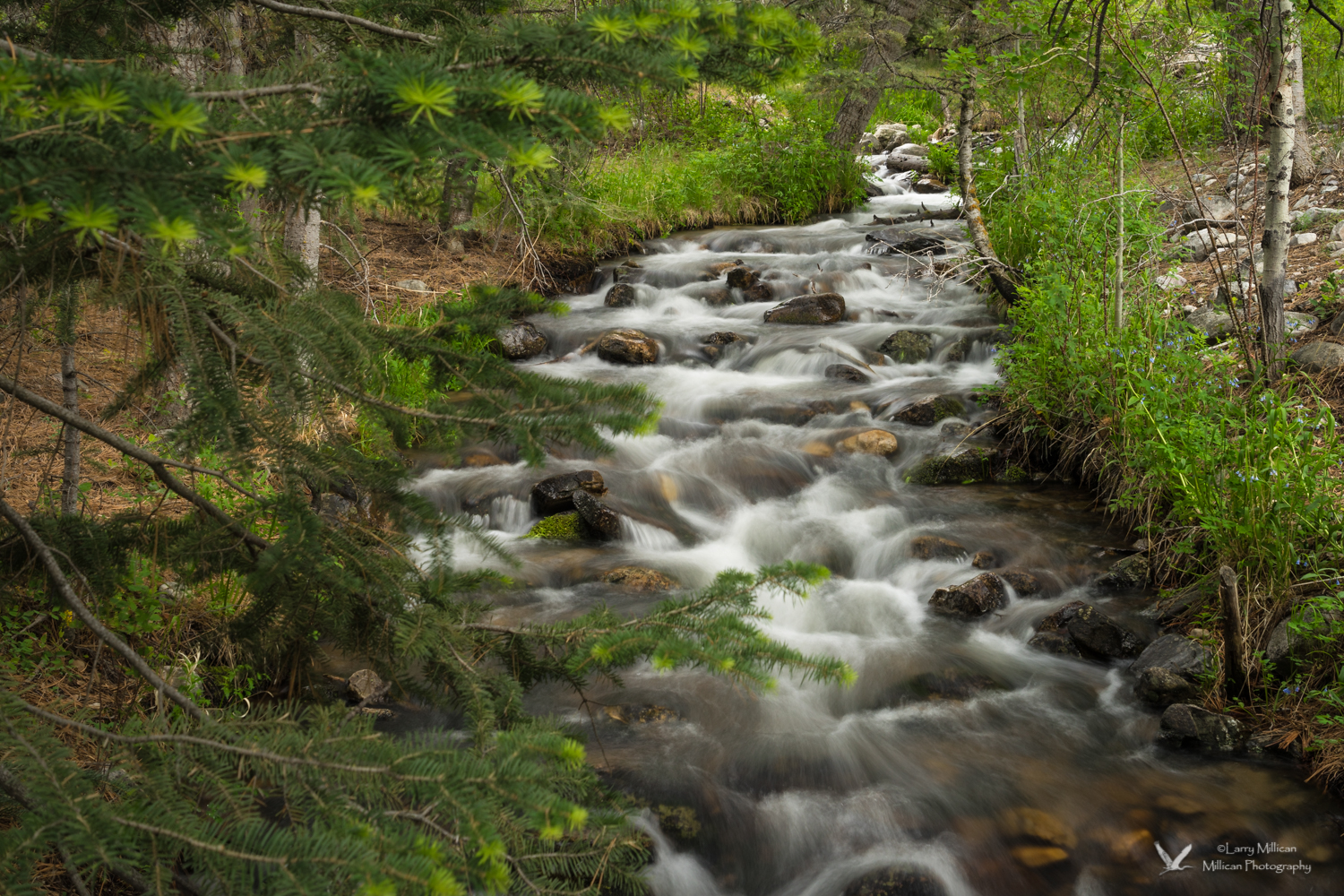 Great Basin NP-02862