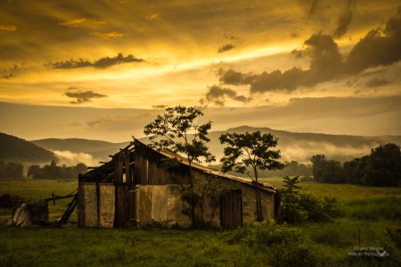 Mulberry River Farm Sunset