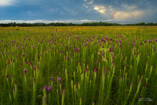 stormy morning cherokee prairie-512-6652